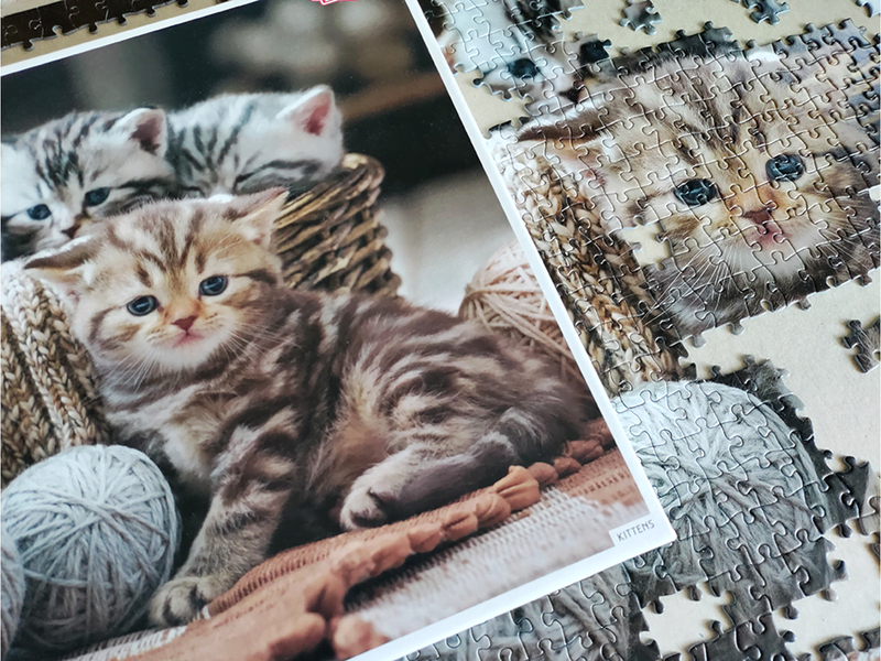 Tactic Cute Kittens 1000 pcs