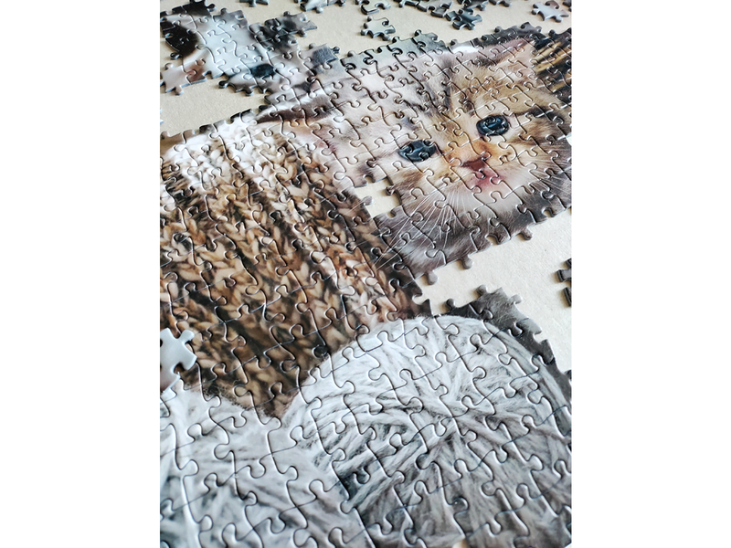 Tactic Cute Kittens 1000 pcs