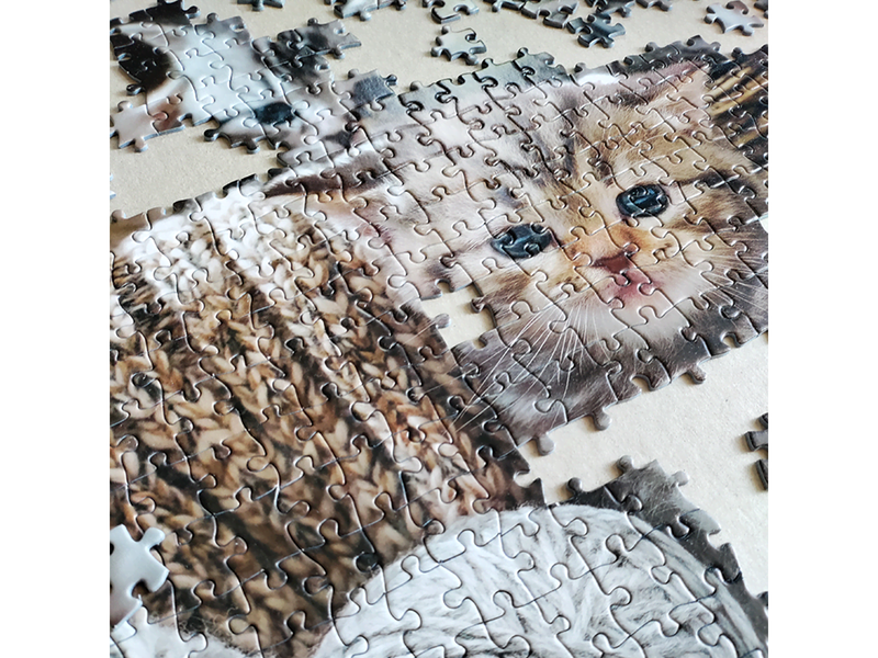 Tactic Cute Kittens 1000 pcs