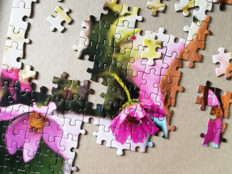 Tactic Dashing Dacshunds 1000 pcs