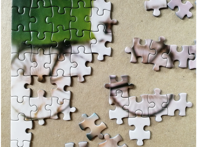 Tactic Dashing Dacshunds 1000 pcs