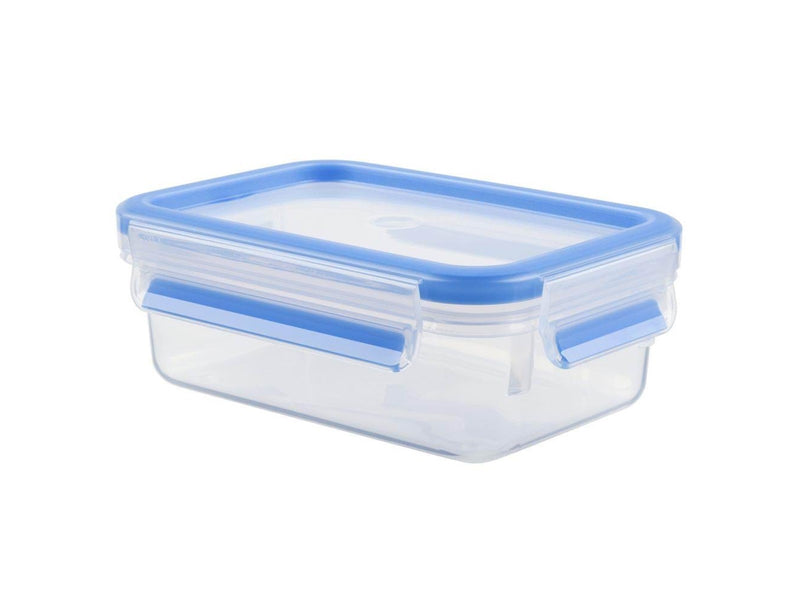 Tefal MasterSeal FRESH 0.55L
