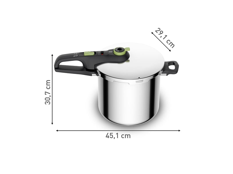 Tefal P2584402 pressure cooker