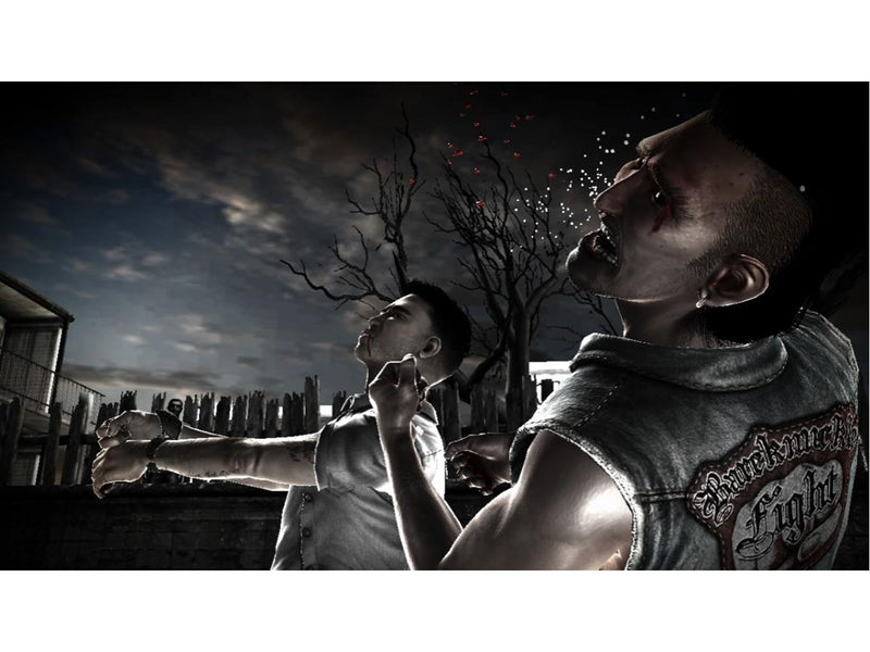 The Fight: Lights Out - Sony PlayStation 3 - Fighting - PEGI 16
