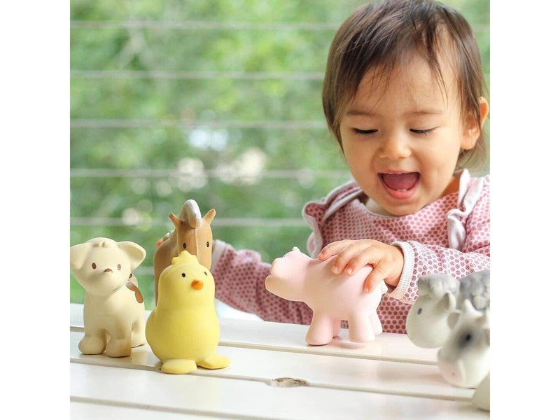 Tikiri Rubber Rattle Chiken