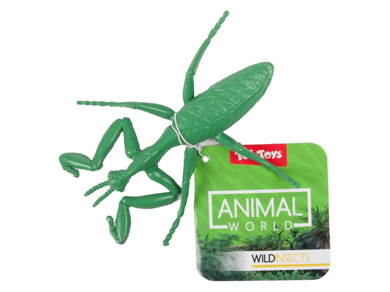 Toi-Toys Animal World Big Creepy Insect (Assorted)