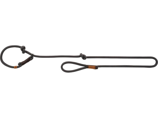 Trixie BE NORDIC retriever lead L–XL: 1.70 m/ø 13 mm dark grey/brown