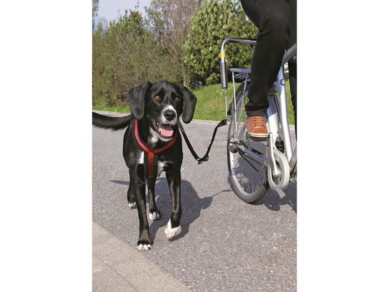 Trixie Biker-set L-shaped S–M black