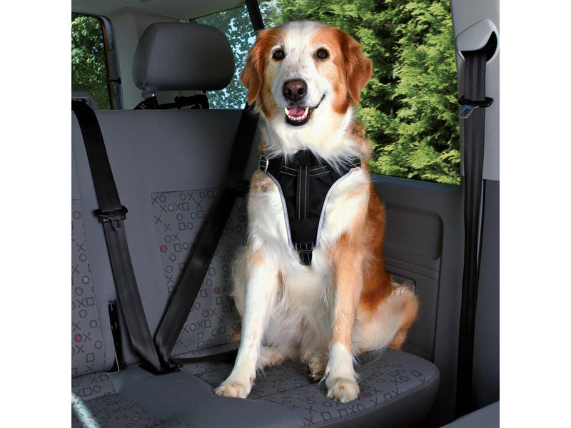 Trixie Comfort car harness M: 50–65 cm/20 mm black