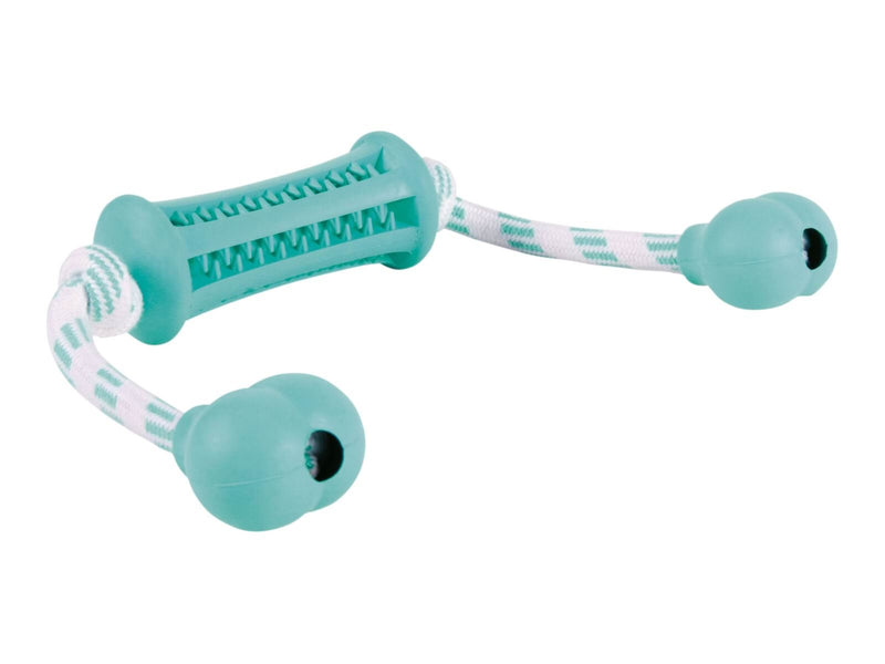 Trixie Denta Fun Stick with Rope - Mint Flavour 9x37cm