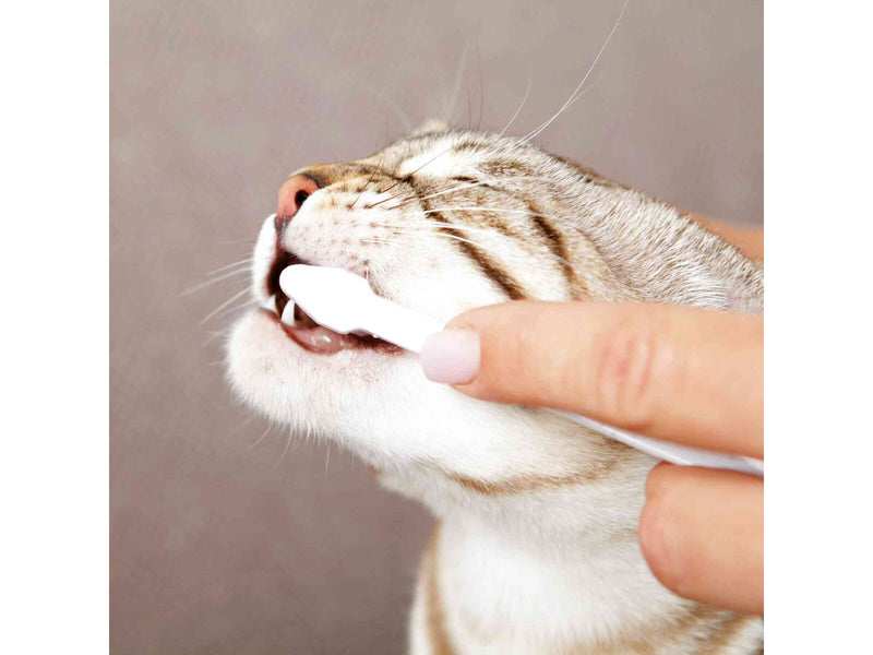 Trixie Dental-Hygiene-Set für Katzen 50g