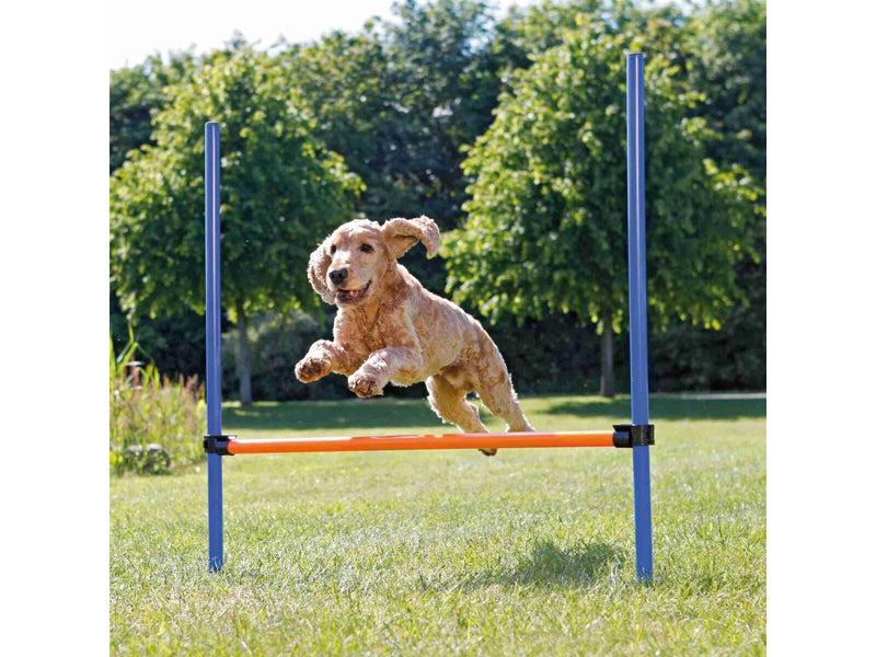 Trixie Dog Fun Agility Hurdle 123x115cm