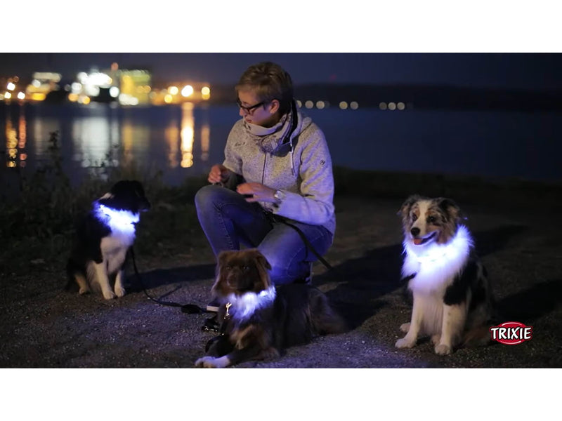 Trixie Flash Light Band USB Adjustable LED Safety Collar Blue Size: M-L 50cm/30mm
