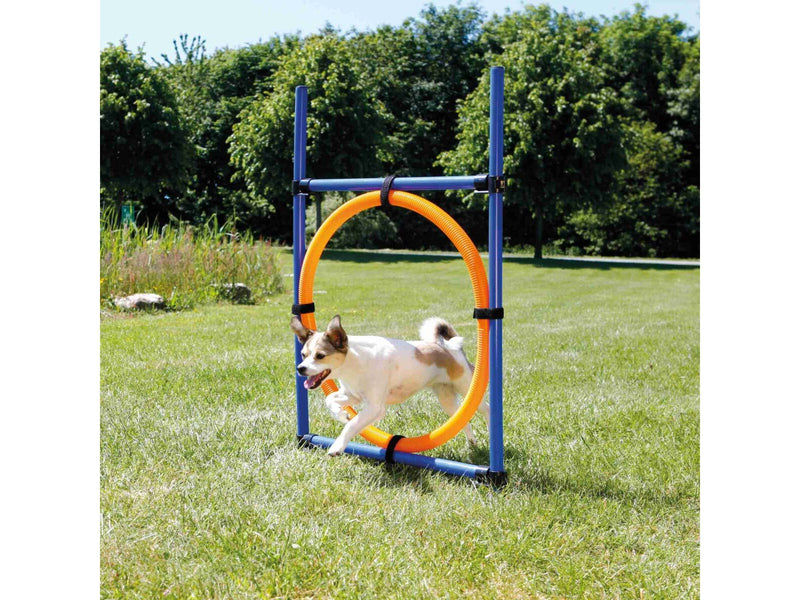Trixie Fun Agility Ring – Verstellbarer Trainingsreifen für Hunde