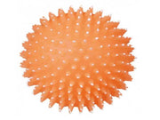 Trixie Hedgehog Ball for Dogs ø 10 cm assorted colours