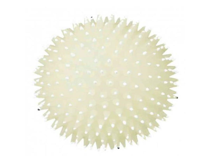 Trixie Hedgehog Ball for Dogs ø 10 cm assorted colours