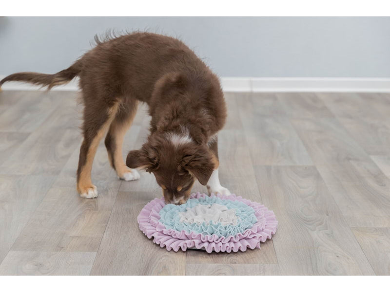 Trixie Junior Schnüffelteppich Schnüffelspaß für Welpen und Kitten 38cm