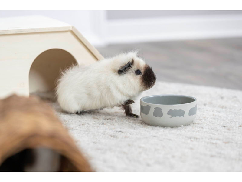 Trixie Keramiknapf für Kleintiere Verschiedene Farben Meerschweinchen 250ml 11cm