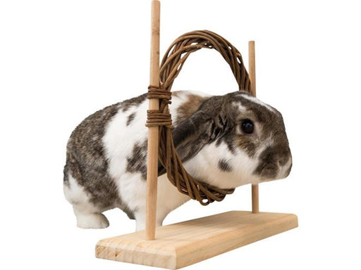 Trixie Kleintier-Agility-Set mit Ring & Hürde für Ratten Zwergkaninchen 28x26x11cm