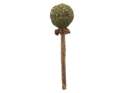 Trixie Matatabi Lolly 11 cm