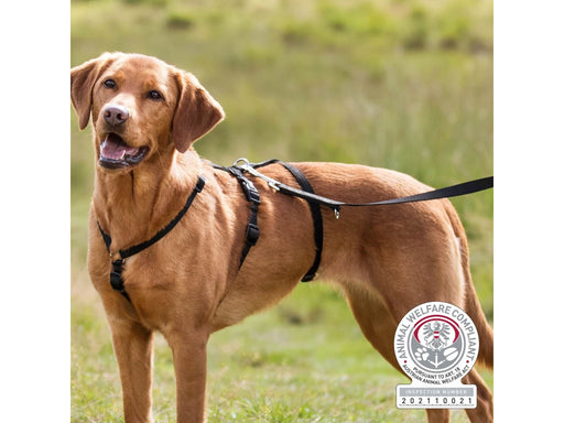 Trixie Panic Harness Stay Escape-Proof Dog Harness L-XL 75-Stomach Circum: 75-100cm