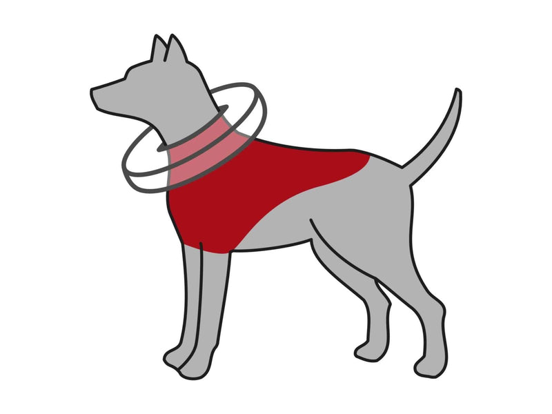 Trixie Protective Collar Inflatable XS 20-24cm