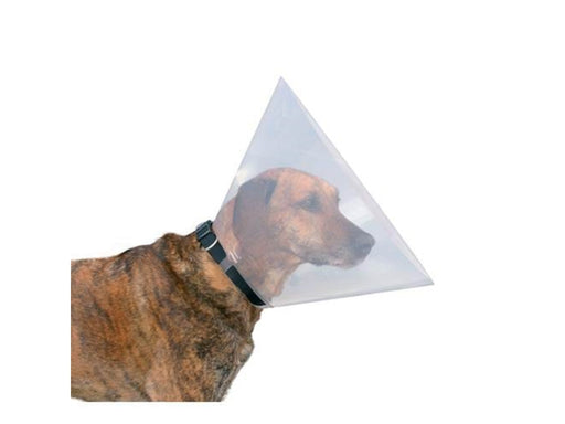Trixie Protective collar plastic L–XL: 47–57 cm/30 cm