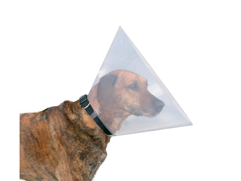 Trixie Protective collar plastic M: 38–44 cm/20 cm