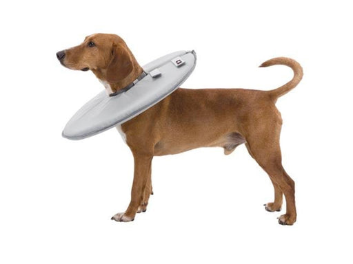 Trixie Protective collar polyester/foam S: 30–34 cm/19.5 cm grey