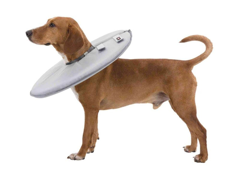 Trixie Protective collar polyester/foam XS: 23–27 cm/13 cm grey