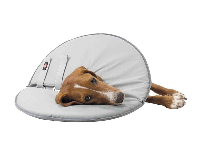 Trixie Protective collar polyester/foam XS: 23–27 cm/13 cm grey