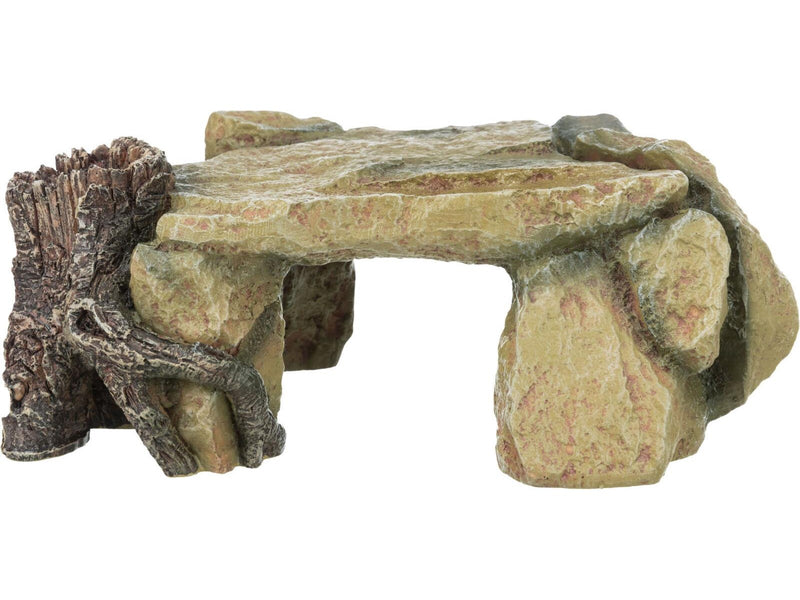 Trixie Rock Plateau with Tree Stump