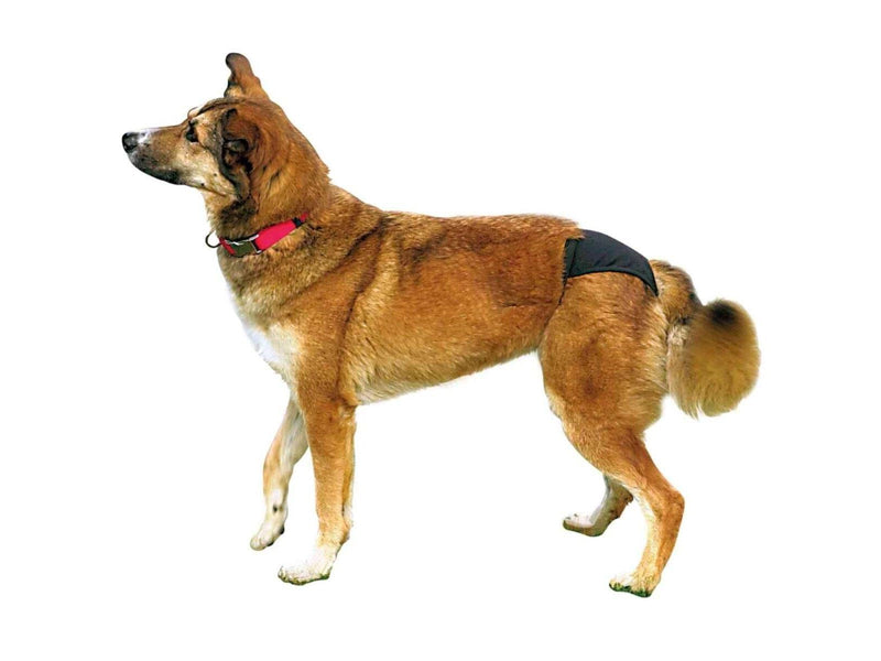 Trixie Schutzhose für Hunde Größe M Taillenumfang 40-49cm
