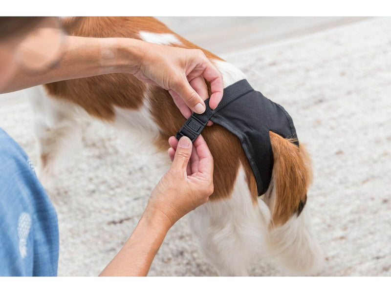Trixie Schutzhose für Hunde Größe M Taillenumfang 40-49cm