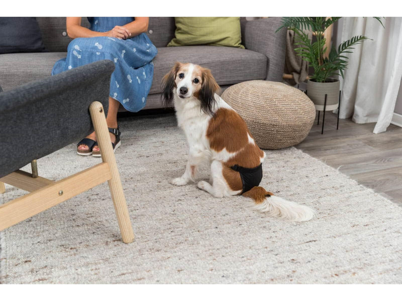 Trixie Schutzhose für Hunde Größe S-M Taillenumfang 32-39cm