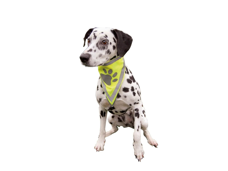 Trixie Sicherheits-Halstuch für Hunde L-XL 43-60cm