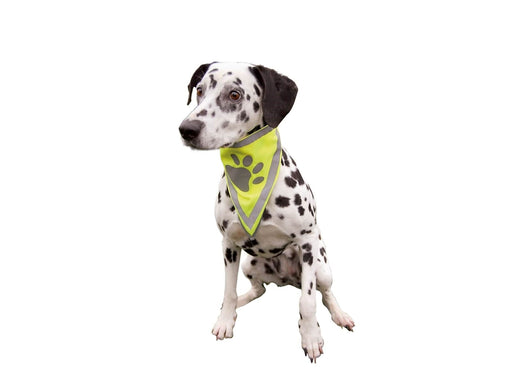 Trixie Sicherheits-Halstuch für Hunde L-XL 43-60cm