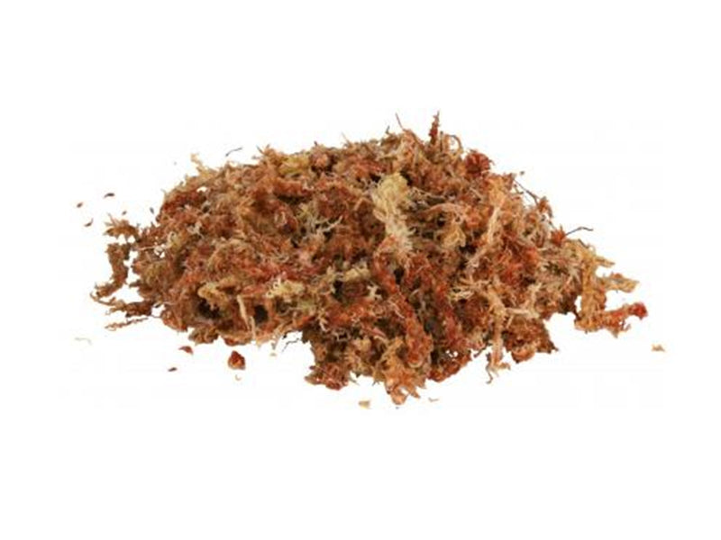Trixie Terrarium moss 100 g