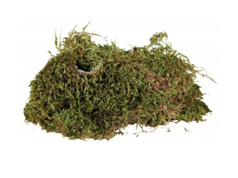 Trixie Terrarium moss 200g