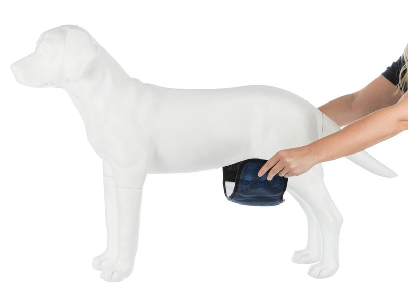 Trixie Washable Nappies for Male Dogs XL Waist 65-75cm