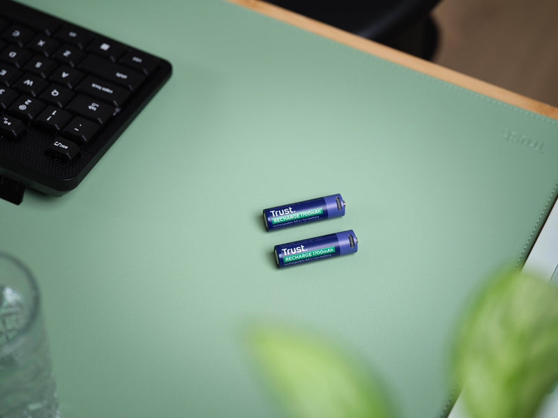 Trust 2 x AA USB-C Rechargeable