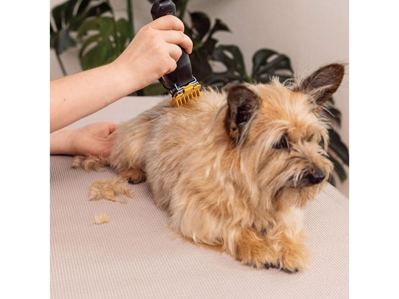 Wahl Pet Clipper Colour Pro