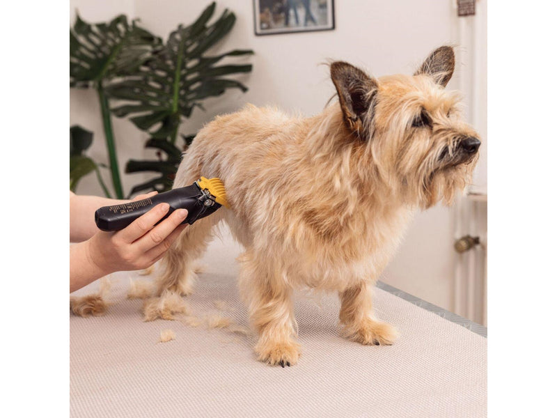 Wahl Pet Clipper Colour Pro