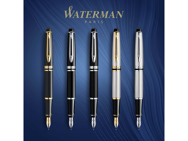 Waterman Expert Füller | Edelstahl mit Zierteile aus 23 K Gold | Füllfederhalter mit feiner Feder | Geschenkbox