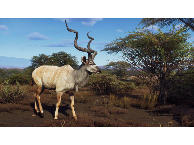 Way of the Hunter (Wild Expeditions) - Microsoft Xbox Series X - Jagd - PEGI 16