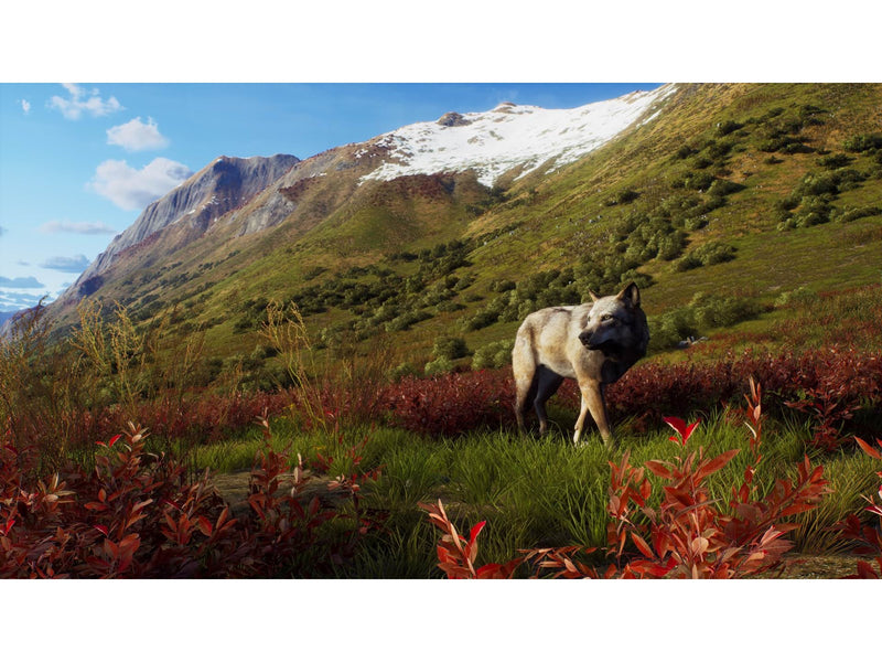 Way of the Hunter (Wild Expeditions) - Microsoft Xbox Series X - Jagd - PEGI 16
