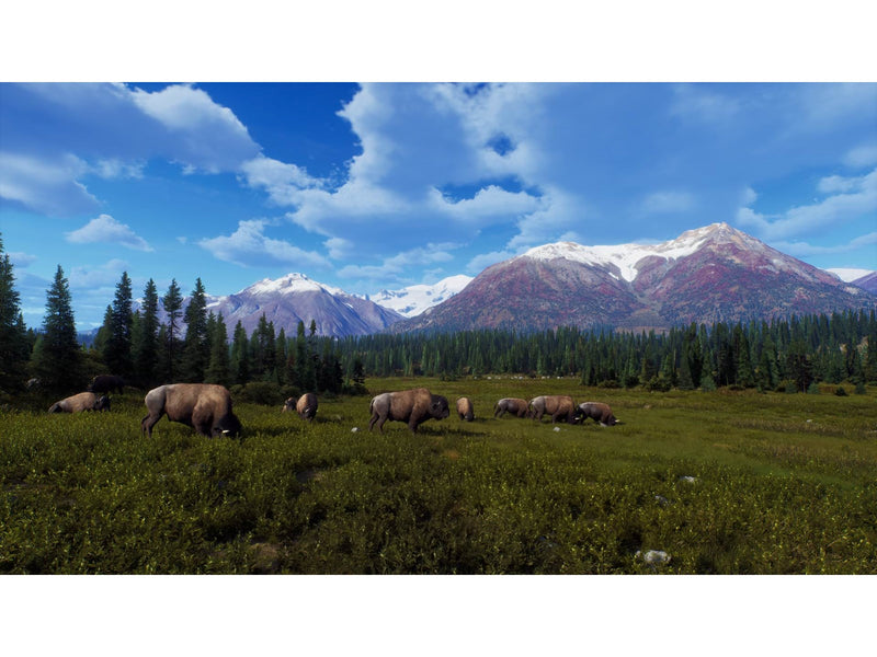 Way of the Hunter (Wild Expeditions) - Microsoft Xbox Series X - Jagd - PEGI 16