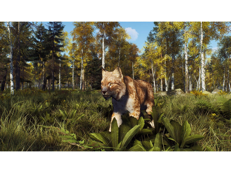 Way of the Hunter (Wild Expeditions) - Microsoft Xbox Series X - Jagd - PEGI 16