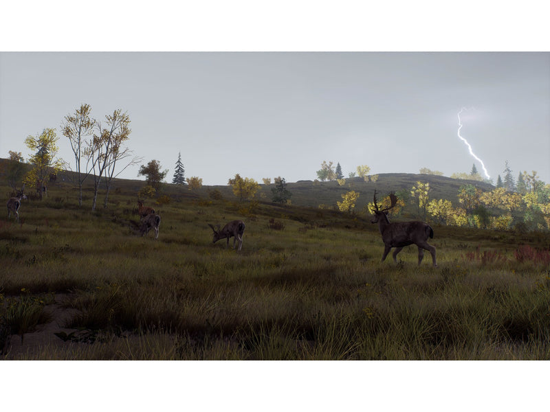 Way of the Hunter (Wild Expeditions) - Microsoft Xbox Series X - Jagd - PEGI 16