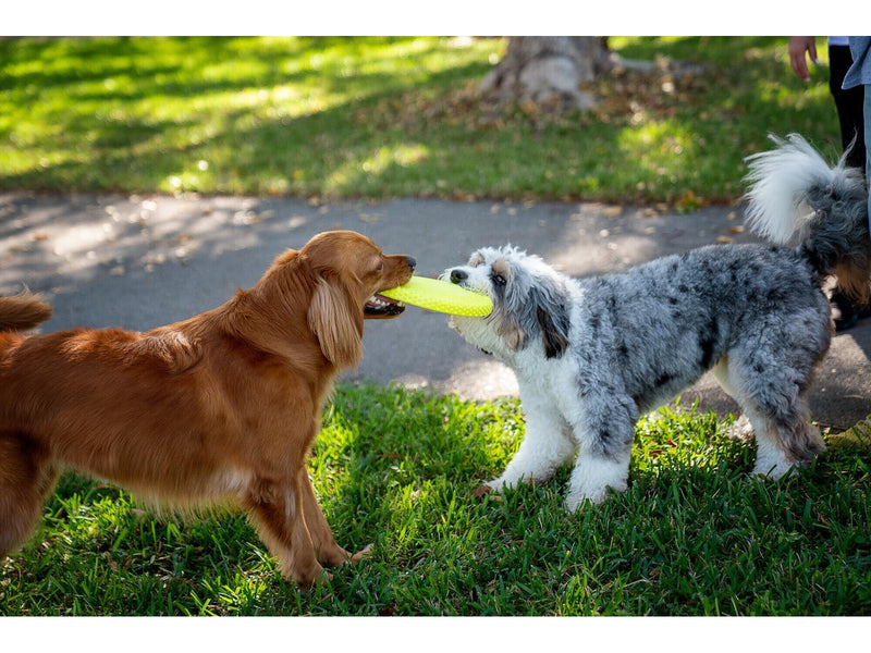 Wham-O Pets Gripsbee Jumbo